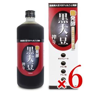 堤酒造 発酵 黒大豆搾り 720ml × 6本 ケース販売