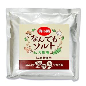 海の精 なんでもソルト 詰め替え用 58g 味付き塩｜tsutsu-uraura