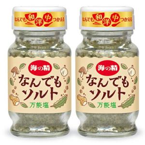 海の精 なんでもソルト 瓶 58g × 2本 味付き塩｜tsutsu-uraura