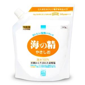 海の精 やきしお スタンドパック（540g） 入荷未定 : PURE・HEART 自然