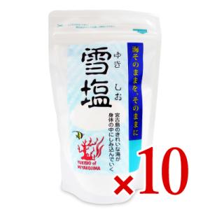 パラダイスプラン 雪塩 120g × 10袋｜tsutsu-uraura