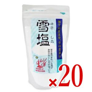 パラダイスプラン 雪塩 250g × 20袋｜にっぽん津々浦々