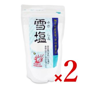 パラダイスプラン 雪塩 250g × 2袋｜tsutsu-uraura