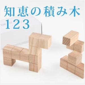 知恵の積み木123