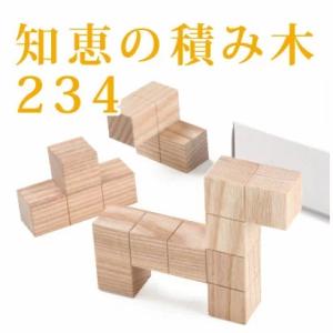知恵の積み木234