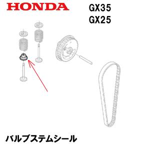 ホンダ（HONDA） エンジン部品 バルブステムシール GX35T GX25T : HTS