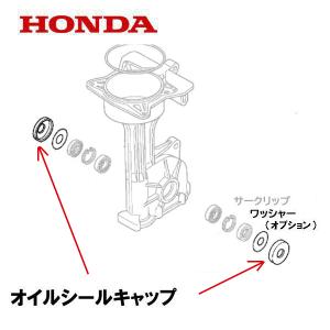 ホンダ（HONDA） ピアンタ FV200 標準爪交換セット : HTSショップ