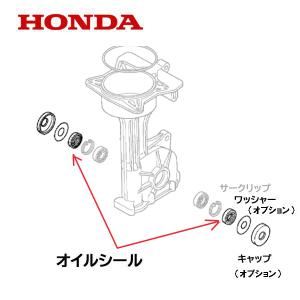 ホンダ 純正 部品 抵抗 棒 ピアンタ FV200用 : サンセイイーストア