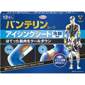 バンテリンコーワ アイシングシート 12枚入