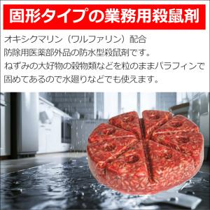 ネズコロン-S 120g 防水型殺鼠剤 ネズミ...の詳細画像1