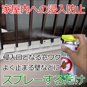 カメムシコロパー 殺虫剤 侵入防止 予防駆除退...の詳細画像4