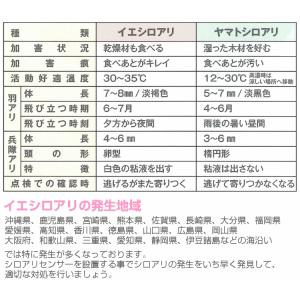 シロアリ探知システムシロアリセンサー ベイト工...の詳細画像5