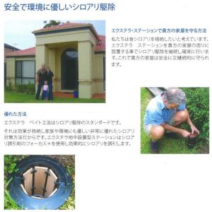 エクステラステーション用えさ木インターセプター...の詳細画像1