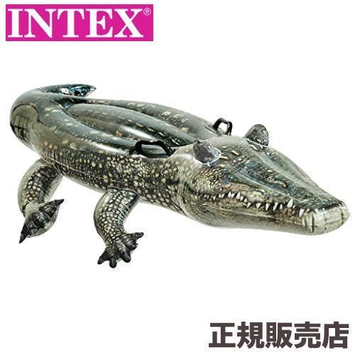 INTEX インテックス 浮き輪 ワニ うきわ フロート リアルアリゲーター ライドオン 170×8...