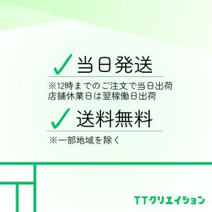 ジレット プログライド 純正 ホルダー 本体 刃付きの詳細画像2