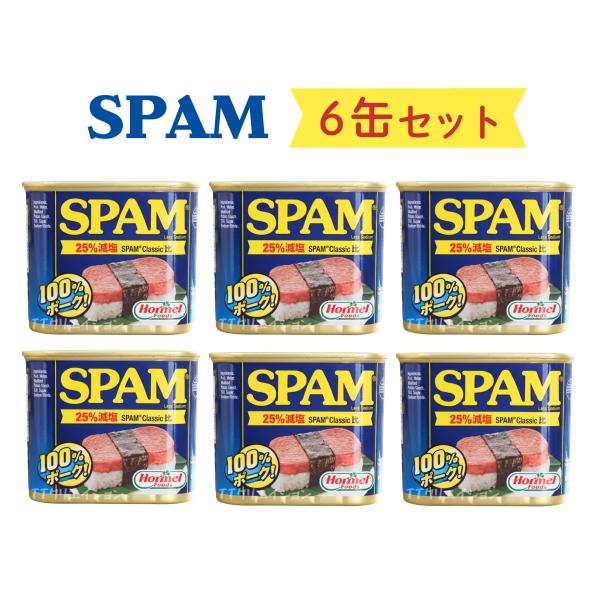 スパム 減塩 缶詰 沖縄ホーメル 6個セット
