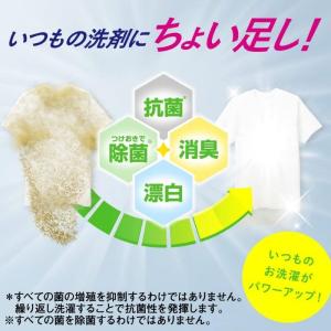 ワイドハイター ex パワー 詰め替え 業務用 2袋の詳細画像3