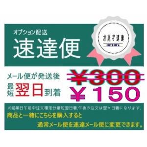 オプション送料　速達送料