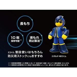 Panasonic EVOLTA(エボルタ)N...の詳細画像5
