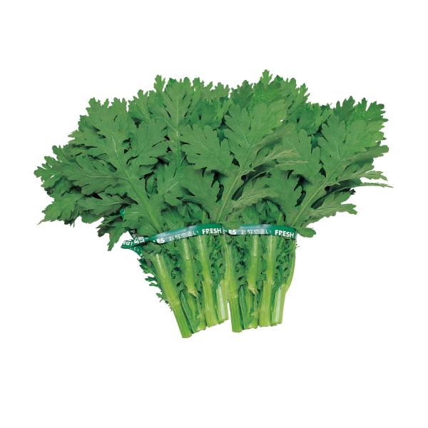 【受注生産】シュンギク苗 きわめ中葉春菊 200穴 セル苗 プラグ苗 野菜苗 春菊苗