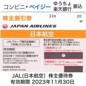 JAL（日本航空）株主優待券　有効期限2023年11月30日｜ttplaza