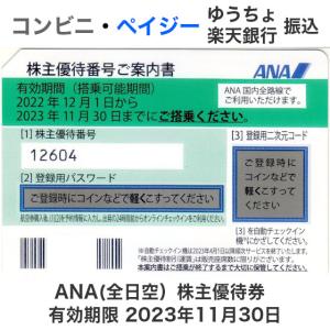 ANA（全日空）株主優待券　有効期限2023年11月30日｜ttplaza