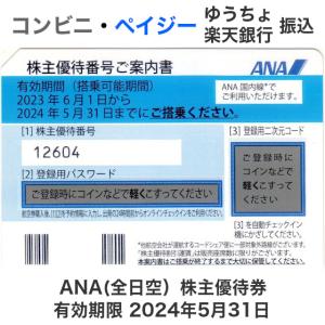 ANA（全日空）株主優待券　有効期限2024年5月31日｜ttplaza