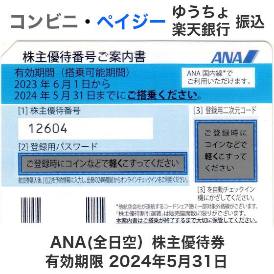 ANA（全日空）株主優待券 10枚セット　有効期限2024年5月31日