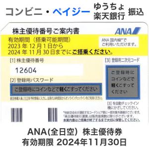 ANA（全日空）株主優待券 10枚セット　有効期限2024年11月30日｜T&Tプラザ ヤフー店