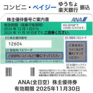 JR九州鉄道株主優待券 有効期限2024年7月1日から2025年6月30日 JR九州鉄道株主優待券 有効期限2024年7月1日から2025年6月30日