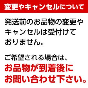 [送料無料・15時までのご注文を最短で当日発送...の詳細画像1