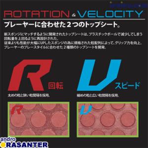 [送料無料・15時までのご注文を最短で当日発送...の詳細画像1