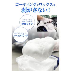 SurLuster(シュアラスター) カーシャ...の詳細画像2