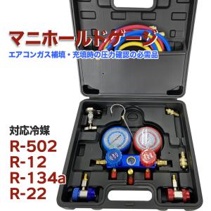 DENGEN デンゲン R-12 チャージセット 2バルブ CP-2VS : エヒメマシン