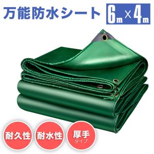 受注生産】ターピー10年シート 3.6m×5.4m ODグリーン | NETIS登録番号