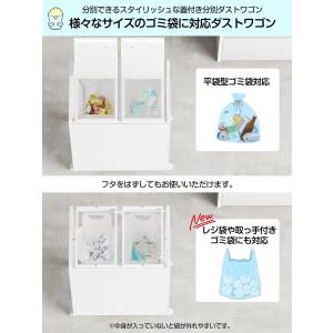 ゴミ袋ホルダー【マグネット式目隠し】平袋・U型...の詳細画像1