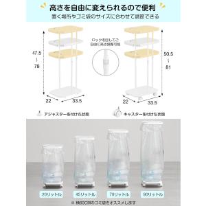 ゴミ袋ホルダー ふた付き ゴミ箱 45L 30...の詳細画像1