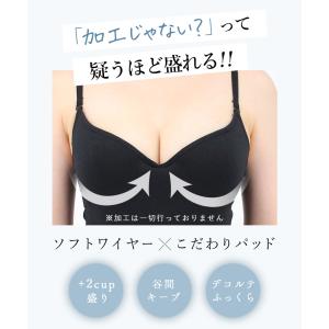 【リニューアルのため別ページ(商品コード903...の詳細画像4