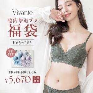 福袋 2024 下着女性 上下セット2本セット カラーおまかせ ブラジャー 大きいサイズ EFGカップ 補正ブラ ブラ&amp;ショーツ 脇高 脇肉 vivante ツーハッチ