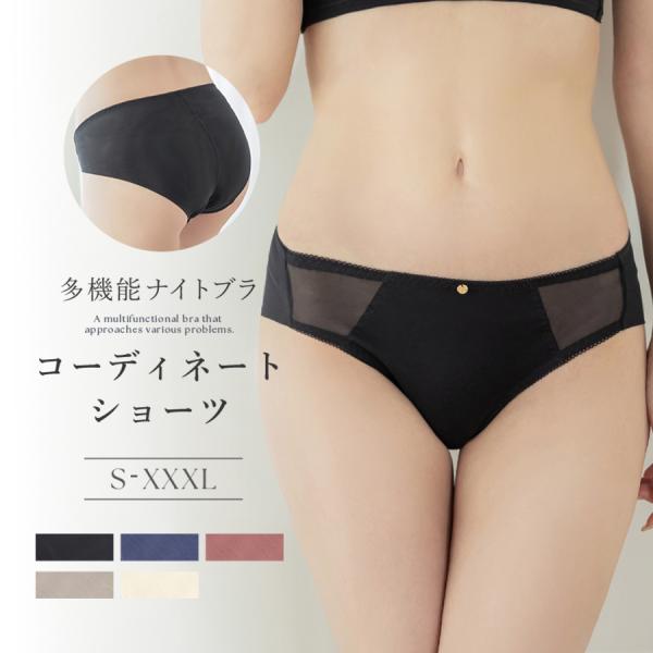 下着女性 ショーツ「24H使えるナイトブラ」チュールフルバックショーツ フルバック スタンダード シ...