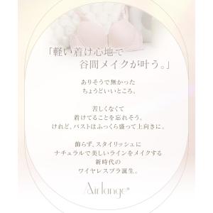 ノンワイヤーブラ 上下 セット ブラジャー ア...の詳細画像2