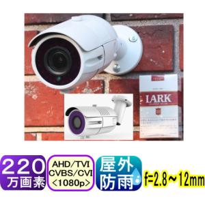 SA-51190】220万画素でフルハイビジョン アナログ(CVBS:960H)信号