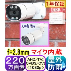 SA-51190】220万画素でフルハイビジョン アナログ(CVBS:960H