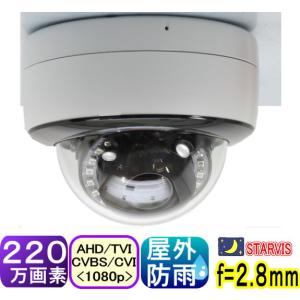 【SA-51730】220万画素 屋外防雨ド-ム...の商品画像