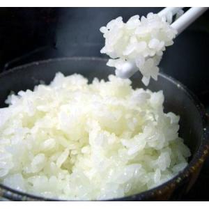 【特別栽培米】 伊賀米 コシヒカリ 玄米３０kg　【精米無料】【送料無料】｜tu-lifu