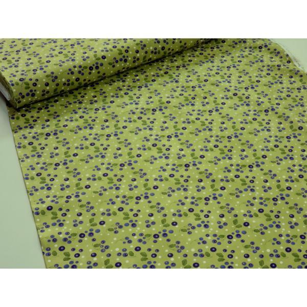 MODA（モダ） Pansys Posies パンジーポジー Circle Sprey Ditty ...