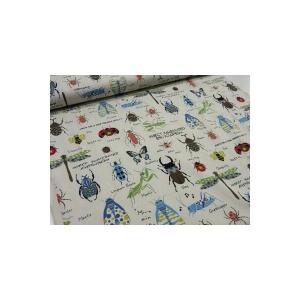 昆虫図鑑 キナリ（つぶ入り) ツイル生地 布地 入園入学 男の子 おしゃれ 安い