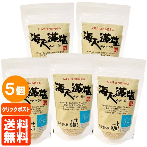 海人の藻塩 スタンドパック 100g×5袋セット 食塩 あまびとのもしお 送料無料 クリックポスト