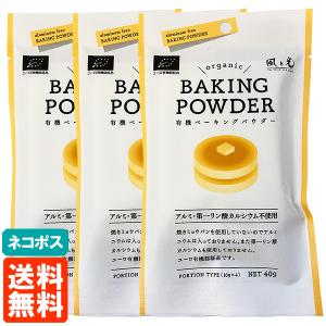 3個セット ベーキングパウダー 40g (10g×4袋) 風と光 BAKING POWDER 送料無料 ネコポス｜tucano