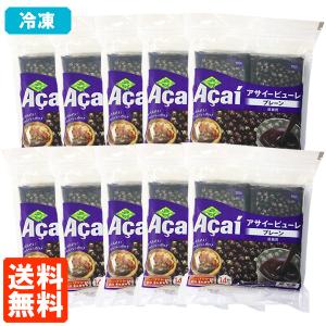 10袋セット フルッタ アサイーピューレ プレーン (100g×4袋入)×10セット 冷凍 